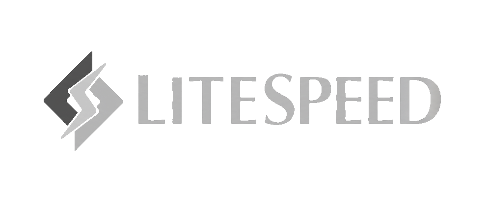 LITESPEED logo met gestileerde geometrische vormen aan de linkerkant en vetgedrukte tekst in hoofdletters aan de rechterkant.